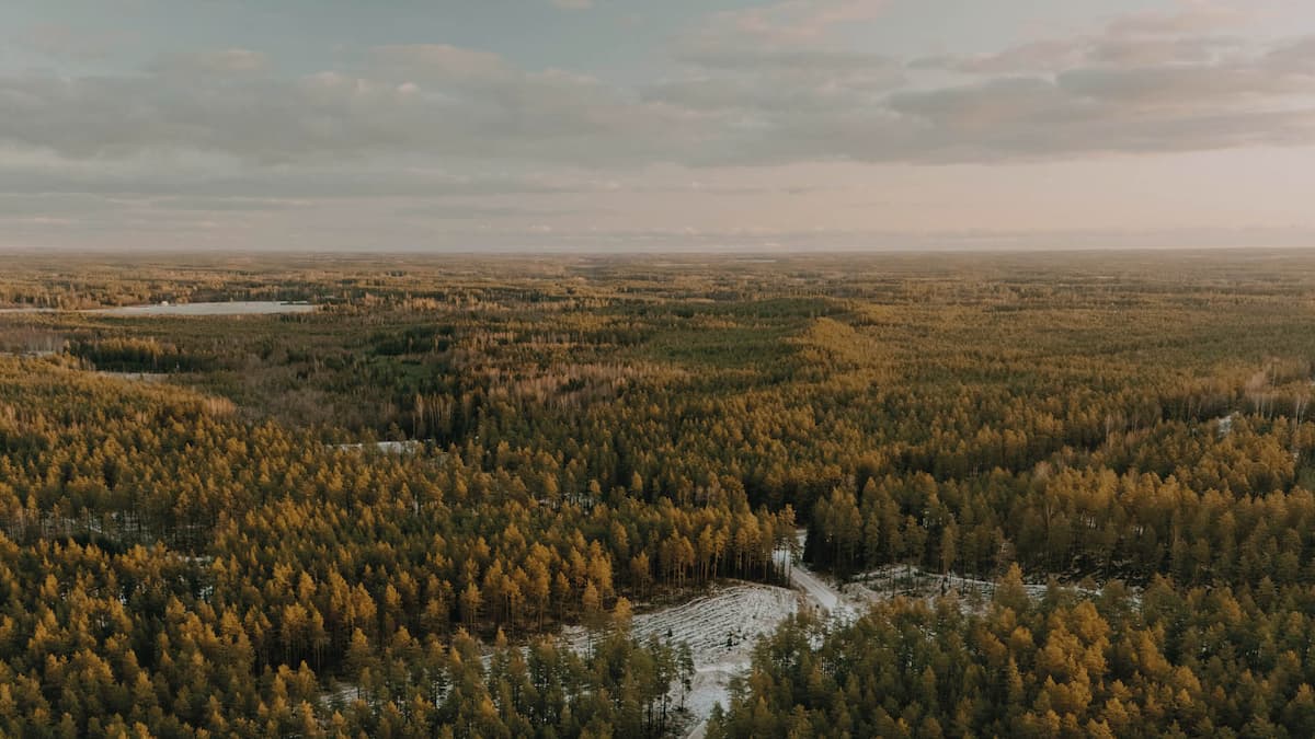 Månadsbrev februari 2026